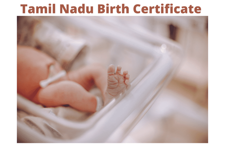 Tamil Nadu Birth Certificate