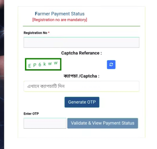 check payment status