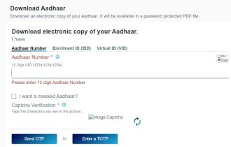 How to Download E Aadhaar PDF 2021